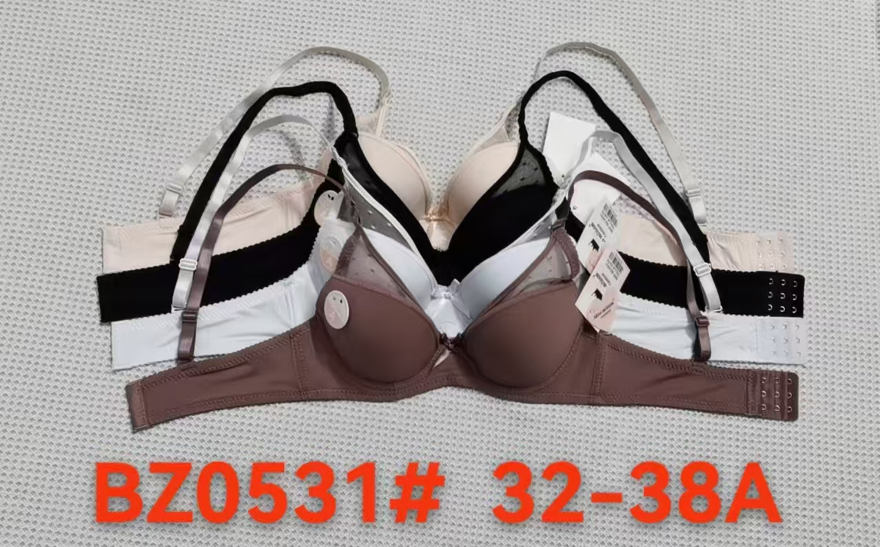 Russia and Central Asia Bra